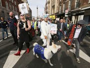 Britische Hundehalter haben am Sonntag , wie bereits im Oktober, gemeinsam mit ihren Vierbeinern in London gegen den EU-Austritt ihres Landes demonstriert. (Bild: KEYSTONE/AP/TIM IRELAND)