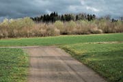 Dieser Weg soll über das Feld in Richtung Wald weitergeführt werden. (Bild: Stefan Kaiser (Cham, 8. März 2019))