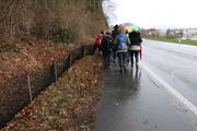 Schüler der International School of Zug and Luzern helfen freiwillig mit, die Frösche und Kröten auf die andere Strassenseite zu bringen. (Bild: Fiona Bösiger, Baar, 7. März 2019)