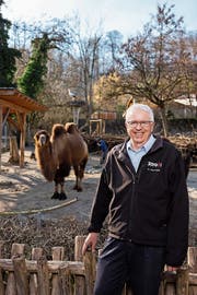 Zoodirektor Alex Rübel mitten in seinem grossen Zoo in Zürich. (Bild: Severin Bigler (Zürich, 26. Februar 2019))
