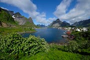 Das Dorf Reine in Norwegen hat rund 300 Einwohner und ist von einer faszinierenden Landschaft umgeben. (Bild: PD)