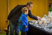 Stöbern an einem Verkaufsstand der Mineralien- und Fossilientage in der Sporthalle Kreuzbleiche. (Bild: Benjamin Manser - 18. März 2017)