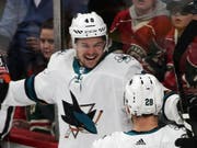 Timo Meier (Nummer 28) jubelt mit Torschütze Tomas Hertl (Bild: KEYSTONE/AP/JIM MONE)