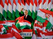 Schweizer Politiker suchen die Nähe zu Ungarn. Dessen Regierungschef Viktor Orban zeigt zusehends autokratische Züge. (Bild: KEY)