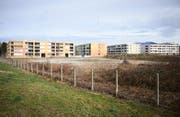 Auf diesem Baufeld der Feldbreite im Vordergrund verlangen die Grünen mehr städtebauliche Qualität. (Bild: Jakob Ineichen, Emmen, 12. März 2019)