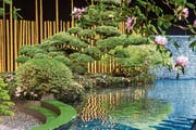 Mit 18 Sattelschleppern fuhr der Gartengestalter Reinhold Borsch an die Giardina, um einen Japangarten aufzubauen: inklusive Koi-Fischen und eines 180 Jahre alten Bonsai. (Bilder: PD)
