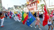 Feierlicher Einzug: Schulkinder mit den Gemeindefahnen des Kantons Luzern an der letztjährigen Gedenkfeier. (Bild: PD)