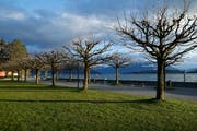 Beim Hirsgarten am See soll das Fitnessgerät «Workout Street» aufgebaut werden. (Bild: Stefan Kaiser, Cham, 13. März 2019)