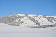 Die traumhaften Schneebedingungen in den Monaten Januar und Februar bescherten den Skiliftbetreibern im Toggenburg Rekordwerte bei der Anzahl Betriebstage. (Bild: Beat Lanzendorfer)