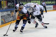 Der Zuger Doppeltorschütze David McIntyre (links) im Duell um den Puck mit Luganos Jani Lajunen. (Bild: Patrick Straub / Freshfocus, Zug, 14. März 2019)