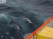 Öl aus den Treibstofftanks des gesunkenen Frachters treibt westlich vom Küstenort La Rochelle. (Bild: Keystone/EPA PERFECTURE OF ATLANTIC/JEAN-MARIE HAUW / MARINE NAT)