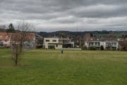 Auf der Parzelle neben dem Neufeld will die Stadt Sursee günstigen Wohnraum ermöglichen. Bild: Dominik Wunderli (15. März 2019)