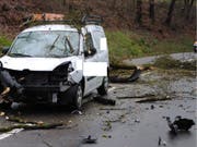 Wegen des Sturms stürzte ein Baum auf die Strasse, als der Lieferwagen vorbeifuhr. (Bild: Kantonspolizei Schaffhausen)