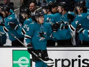 San Joses Timo Meier erhält die Gratulationen seiner Teamkollegen nach seinem zwischenzeitlichen 1:1 gegen die Nashville Predators (Bild: KEYSTONE/AP/BEN MARGOT)