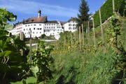 Die gut besonnte Lage des Rebbergs in Lichtensteig begünstigt die Qualität des Weines. (Bild: Urs M. Hemm, 26. September 2018)