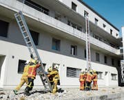 Leiterstellung und Rettung über die Leiter war Teil des Kursprogramms.