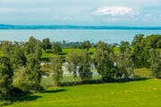 Der Schein trügt: Die malerische Naturlandschaft rund um den Mötteliweiher bei Untereggen ist stark mit Ammoniak belastet. Hauptverursacherin ist die Landwirtschaft. (Bild: PD)