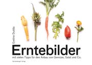 Eveline Dudda: Erntebilder, Spriessbürger Verlag, 123 S., Fr. 18.–
