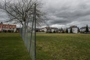 Auf der rechten Parzelle neben dem Neufeld will die Stadt Sursee günstigen Wohnraum ermöglichen. (Bild: Dominik Wunderli, 15. März 2019)