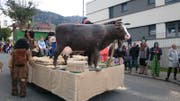 (Bild: Yvonne Imbach)