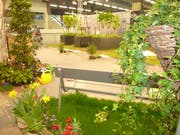 Schon an der Offa 2018 warb Entsorgung St.Gallen für «Urban Farming», das Gärtnern im städtischen Umfeld. (Bild: Entsorgung St.Gallen/Marianne Meili - 15. April 2018)