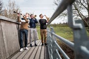 Musikalische Brüder (von links): Daniel, Raphael und Matthias Koch. (Bild: Roger Grütter, Grosswangen, 6. März 2019)