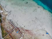 Wassertiefstand am Untersee bei Ermatingen Ende November 2018. (Bild: Donato Caspari)