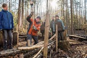 Die Wolfenschiesser Schüler bauen an ihrem Waldtag auch an einem «Waldsofa». (Bild: Eveline Beerkircher (Wolfenschiessen, 21. März 2019))