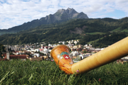 Auch Alphörner werden am 63. Zentralschweizer Jodlerfest in Horw vertreten sein. (Bild: PD)