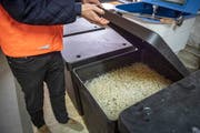 Drei biologische Filter reinigen das Abwasser von den Fischen und wandeln Ammoniak in Nitrat um. (Bild: Urs Bucher)