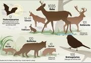 Quelle: Amt für Wald und Wild Zug / Grafik: Martin Ludwig