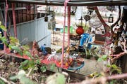 Den Bauplänen weichen müssen vermutlich die Familiengärten; einige davon wurden bereits für den Bau des Ruckhaldetunnels aufgehoben. (Bild: Adriana Ortiz Cardozo, 25. März 2019)