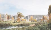 Eine Visualisierung der geplanten Campusanlage «Dreierlei» der Berner Fachhochschulen. (Bild: PD)