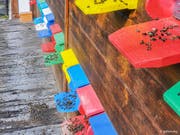 Massensterben im Bienenstock: Der Bienengesundheitsdienst stellt vermehrt Pestizid-Mehrfachbelastungen als Todesursache von Bienen fest. (Bild: apiservice)