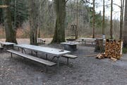 Idylle pur: So sieht die öffentliche Grillstelle Rosental aus, wenn sie von Werkhofmitarbeitern gesäubert worden ist. (Bild: Hans Suter)