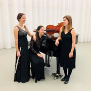 Von links: Yvonne Gisler an der Querflöte, Silvia Pellegrini am Klavier und Aline Vonderwahl am Cello sorgen im Theater Uri für ein abwechslungsreiches Klassik-Konzert. (Bild: PD)