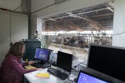 Ein mögliches Forschungsfeld auch für Fachhochschulen: Smartfarming bei Agroscope in Aadorf. (Key/Gaetan Bally)