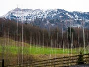 Baugerüste für eine grosse Wohnüberbauung im Grünen: Mehr als 80 Prozent haben sich in einer Befragung hinter die Forderung gestellt, dass Landschaft und Kulturland besser geschützt werden sollten. (Bild: KEYSTONE/SIGI TISCHLER)