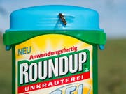 Steht im Verdacht, Krebs zu verursachen: das Unkrautvernichtungsmittel Roundup der Bayer-Tochter Monsanto. (Bild: KEYSTONE/EPA/STEFFEN SCHMIDT)