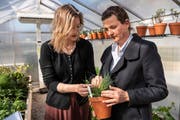 Das Futtergras der Zukunft? Juanita Schläpfer (links) und Viola Thiel im Klimagarten an der HSR. (Bild: Adriana Ortiz Cardozo)