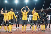 Die Young Boys werden schon bald ihre erfolgreiche Titelverteidigung feiern können. (Bild: Claudio de Capitani/Freshfocus)