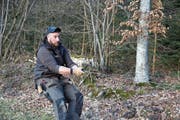 Emil Giger trainiert dreimal wöchentlich für die Weltmeisterschaft im Zaunbau. (Bild: Jessy Nzuki)