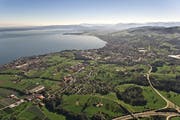 Der Bodensee bei Rorschach. (Bild: Urs Jaudas - 5. Dezember 2010)