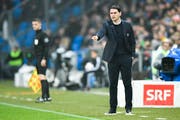 Der Luzerner Gerardo Seoane könnte mit den Young Boys in dieser Saison das Double feiern. (Gian Ehrenzeller/Keystone (Basel, 2. Dezember 2018))