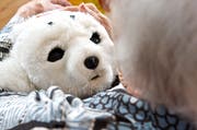Roboter-Robbe Paro (Bild: Alamy Stock Photo)