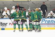 Lange Gesichter auf der Ajoie-Bank: Der HC Thurgau überrascht im diesjährigen Playoff positiv. (Bild: Mario Gaccioli, Weinfelden, 6. März 2019)