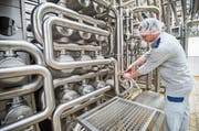 Blick in das Hochdorf-Werk in Sulgen im Kanton Thurgau. (Bild: Remo Martin/SGT, 1. April 2015)