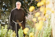 Bruder Damian Keller, Guardian der Kapuziner, im Klostergarten. (Bild: Jakob Ineichen, Luzern, 7. März 2019)