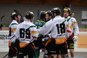 Die Rebells sind auf gutem Weg zum nächsten Meistertitel. (Bild: Maria Schmid (Zug, 10. Februar 2019))