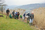 Einsatz am Seeufer für eine gute Sache.